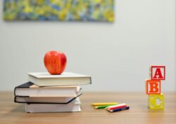 Padres de familia piden retirar educación sexual en colegios católicos de Arzobispado de Hamburgo 2 element5 digital OyCl7Y4y0Bk unsplash