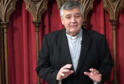 Se está erosionando el principio de autoridad del Papa, dice padre Martín de los Franciscanos de María 2 1 8