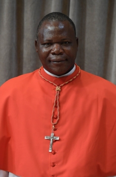 En peregrinación mariana en República Centroafricana, Cardenal exhorta a la vida sacramental, litúrgica y de caridad 2 1783583611870