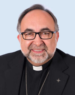 Mons. Sanz Montes 30913891015