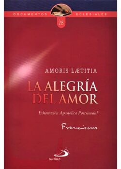 A un mes del encuentro sobre Amoris Laetitia: varios obispos no saben qué se espera de ellos 2 224c530cace4683ec356844f2966f99f