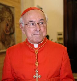 Cardenal Brandmüller: cuidado con una sinodalidad que es luteranismo reciclado 2 5 1