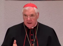 Cardenal Müller recuerda a los obispos alemanes que su misión no es política 2 6 1 1