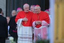Cardenal Oullet absuelto de falsa denuncia de abuso – Será indemnizado en 100.000 dólares canadienses 2 91124 20150604 GK