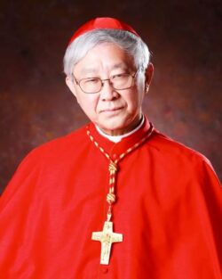 Condena al Cardenal Zen, que apelará: pero problema toca a la libertad de asociación en Hong Kong 2 Cardenal Zen 700x875 1