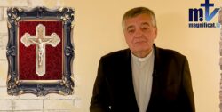 Padre Martín: Los liberales están tendiendo serias trampas al Papa 2 7