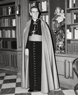 “¡Padre, Hijo, Espíritu… y Fulton!”: las monjas que hicieron a mano los rosarios para la beatificación de Fulton Sheen 2 Retrato eclesiastico en biblioteca clasica
